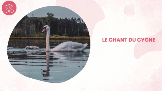 Semaine 15 - Le chant du cygne (21 minutes)